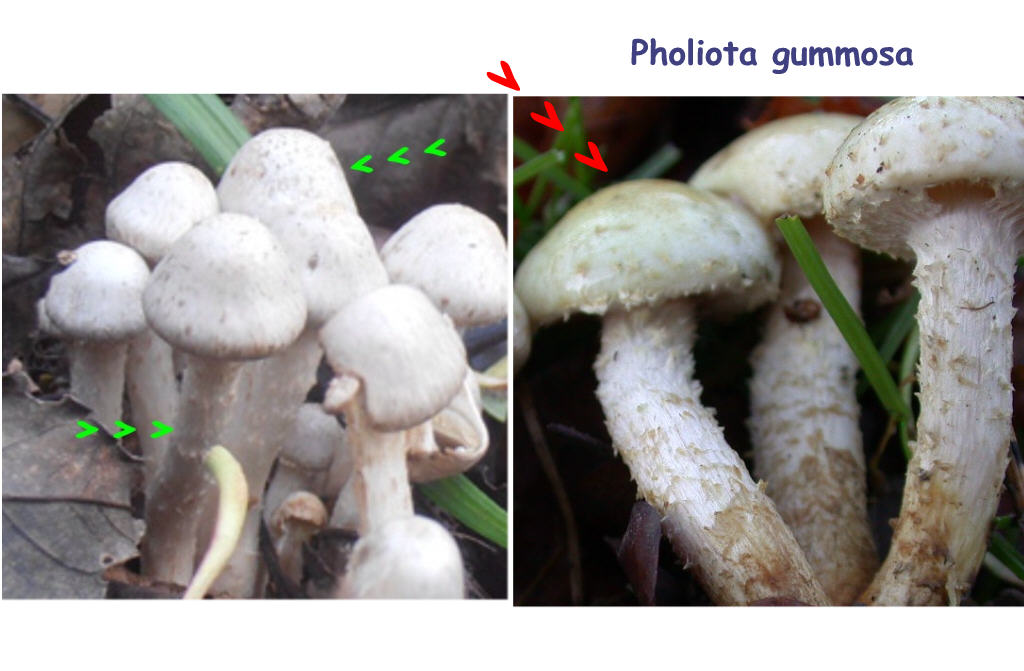Ritrovamenti.. qualcuno sa dirmi qualcosa a riguardo?